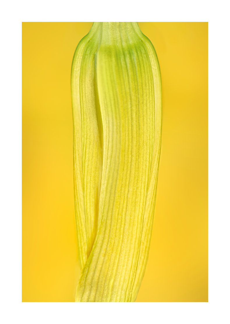 Pantalon patte d'eph